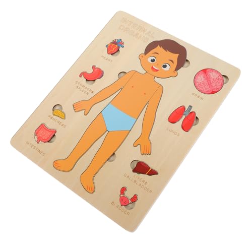 Kisangel 1Satz Puzzle Für Lernspielzeug Über Menschlichen Körper Holzspielzeug Für Erkennung Pädagogisches Für Jungen Kisangel 1Satz Puzzle Für Lernspielzeug Über Menschlichen Körper Holzspielzeug Für Erkennung Pädagogisches Für Jungen von Kisangel