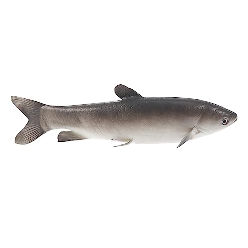 Kisangel 1Stück Künstliches Fischspielzeug Realistische Fischdekoration Für Kunstfisch Ornament Als Unterwasser Deko Für Aquarien Künstliche Fische Kisangel 1Stück Künstliches Fischspielzeug Realistische Fischdekoration Für Kunstfisch Ornament Als Unterwasser Deko Für Aquarien Künstliche Fische von Kisangel