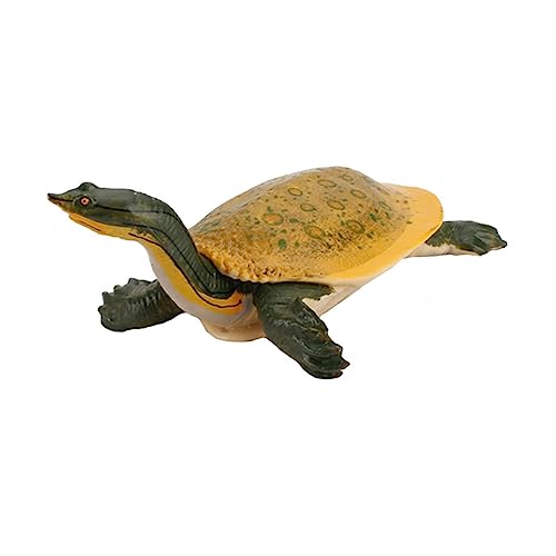 Kisangel 1Stück Zierschildkröte Künstliches Tierspielzeug Realistische Dekoration Für Zuhause Und Sicher Für Tierkundelektionen Und Kreativitätsspielzeug Kisangel 1Stück Zierschildkröte Künstliches Tierspielzeug Realistische Dekoration Für Zuhause Und Sicher Für Tierkundelektionen Und Kreativitätsspielzeug von Kisangel