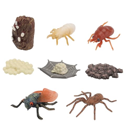Kisangel 2 Sätze Simulierte Insekten Modelle für Lebenszyklus Lernspielzeug für Naturwissenschaftliche Erziehung Sicher und Praktisch aus Gefertigt Kisangel 2 Sätze Simulierte Insekten Modelle für Lebenszyklus Lernspielzeug für Naturwissenschaftliche Erziehung Sicher und Praktisch aus Gefertigt von Kisangel