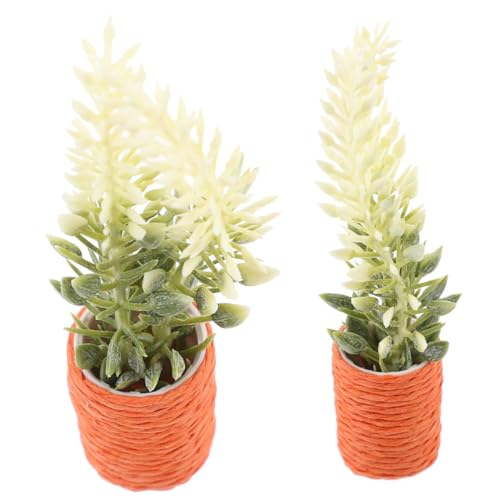 Kisangel 2 Stück Puppenhaus Miniatur Leere Tasse Wasserbecher Mini Modell Zubehör Innen Topfpflanzen Niedliche Pflanzen Bausatz Puppenhaus Miniatur Pflanze Miniatur Bonsai Pflanze von Kisangel