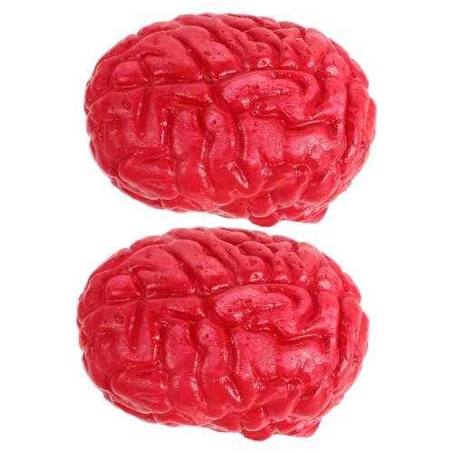 Kisangel 2 Stück Realistische Halloween Deko Teiliges Fake Human Brains Simulation Gehirne Kunstorgane für Gruselige Party Halloween Requisiten Innen Außen Geeignet Kisangel 2 Stück Realistische Halloween Deko Teiliges Fake Human Brains Simulation Gehirne Kunstorgane für Gruselige Party Halloween Requisiten Innen Außen Geeignet von Kisangel