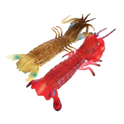 Kisangel 2 Stück Realistisches Teiliges Fangschreckenkrebs und Garnelen aus Robustem Pädagogisches Outdoor und Tiermodell Interaktives Lernspielzeug für Biologie und Familienspiel Kisangel 2 Stück Realistisches Teiliges Fangschreckenkrebs und Garnelen aus Robustem Pädagogisches Outdoor und Tiermodell Interaktives Lernspielzeug für Biologie und Familienspiel von Kisangel