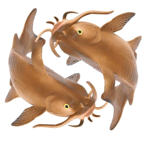 Kisangel 2 Stück Realistisches Teiliges Katzenfisch Modell Hochwertiger Kunststoff Pädagogisches für Ab Jahren Naturgetreue Nachbildung als und Dekorationsobjekt Kisangel 2 Stück Realistisches Teiliges Katzenfisch Modell Hochwertiger Kunststoff Pädagogisches für Ab Jahren Naturgetreue Nachbildung als und Dekorationsobjekt von Kisangel