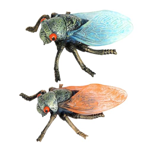 Kisangel 2 Stück Simulation Cicadas Modell Teiliges aus Realistisch Gestaltetes Insektenspielzeug mit Glatten Kanten Kindgerechtes Lernspielzeug Vorstellungskraft und Kognitiven Fähigkeiten Kisangel 2 Stück Simulation Cicadas Modell Teiliges aus Realistisch Gestaltetes Insektenspielzeug mit Glatten Kanten Kindgerechtes Lernspielzeug Vorstellungskraft und Kognitiven Fähigkeiten von Kisangel