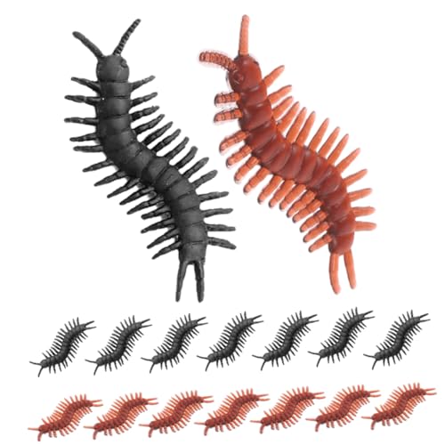Kisangel 200 Stück Realistische Centipede Modellornamente Lebensechte für Halloween Party Streiche Leichte Tragbare Dekoartikel für Bildung und Festveranstaltungen von Kisangel