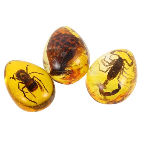 Kisangel 3 Stück Bernsteinproben Basteln Insekten Bernstein Anhänger Insektenproben Anhänger DIY Insekten Bernstein Insekten Bernstein Insekten Bernstein Ornament Insekten Bernstein Kisangel 3 Stück Bernsteinproben Basteln Insekten Bernstein Anhänger Insektenproben Anhänger DIY Insekten Bernstein Insekten Bernstein Insekten Bernstein Ornament Insekten Bernstein von Kisangel