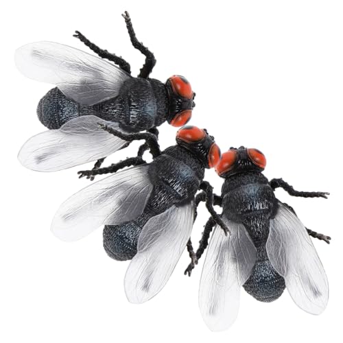Kisangel 3 Stück Teiliges Realistische Fliegenfiguren aus Stabilem Kunststoff Naturgetreue Insektenmodelle für Edukative Spielzeuge für Frühkindliche Naturerforschung und Unterricht Kompakt von Kisangel