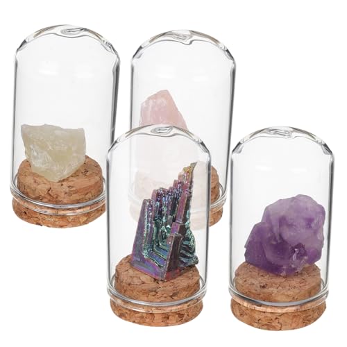 Kisangel 4 Stück Kleine Cloche Kleine Glaskuppel Glasglocke Kuppel Ausstellungskuppel Mini Cloche Glockenglas Glasglocke Mit Sockel Glaskuppel Terrarium Probengläser von Kisangel