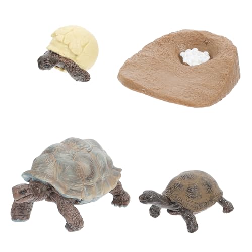 Kisangel 4 Stück Realistische Schildkröten Lebenszyklus Figuren Teiliges PVC Modellset mit Wachstumszyklus Darstellung Pädagogisches Tier für Dekorative Ornamente für Zufällige Farbe Kisangel 4 Stück Realistische Schildkröten Lebenszyklus Figuren Teiliges PVC Modellset mit Wachstumszyklus Darstellung Pädagogisches Tier für Dekorative Ornamente für Zufällige Farbe von Kisangel