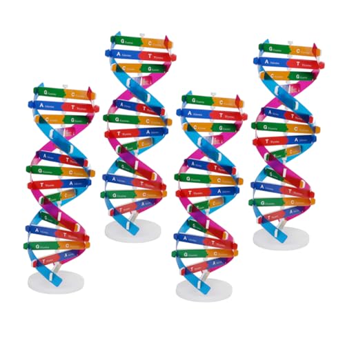 Kisangel 4stücke Molekulares DNA-Modell Wissenschaftlicher Lehrbausatz Zur Menschlichen Gene-Struktur Biologisches Lernspielzeug Für DNA-doppelhelix-aufbau Pädagogisches Modell Zur Kisangel 4stücke Molekulares DNA-Modell Wissenschaftlicher Lehrbausatz Zur Menschlichen Gene-Struktur Biologisches Lernspielzeug Für DNA-doppelhelix-aufbau Pädagogisches Modell Zur von Kisangel