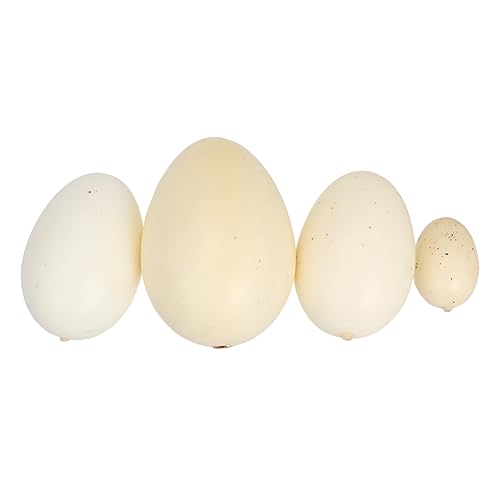 Kisangel 4 Stück Teiliges Vogel Ei Modell Realistische Gefleckte Eier aus Leichtem Material für Verschiedenen und Mustern Kisangel 4 Stück Teiliges Vogel Ei Modell Realistische Gefleckte Eier aus Leichtem Material für Verschiedenen und Mustern von Kisangel