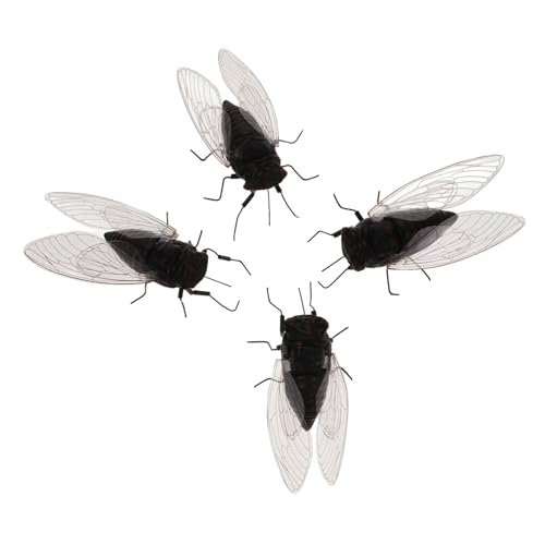 Kisangel 4 Stück Zikaden Modell Landschaftszikade Gefälschte Zikaden Kinderspielzeug Kleines Zikaden Ornament Streichspielzeug Kleine Zikaden Dekoration Simulation Kisangel 4 Stück Zikaden Modell Landschaftszikade Gefälschte Zikaden Kinderspielzeug Kleines Zikaden Ornament Streichspielzeug Kleine Zikaden Dekoration Simulation von Kisangel