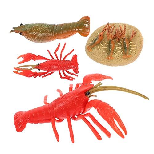 Kisangel 4Stücke Kunststoff Hummer Wachstumsmodelle Für Lehrhilfsmittel Für Tierwachstumszyklus Sensorische Spielzeuge Kognitiven Entwicklung Und des Lernens von Kisangel