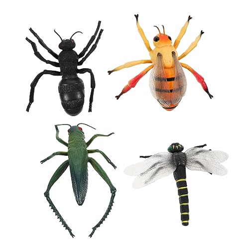 Kisangel 4Stücke Teiliges Insektenmodell Tierfiguren Für Umweltfreundliches Kreativität Und Wissensvermittlung Über Insekten Für Kleine Kisangel 4Stücke Teiliges Insektenmodell Tierfiguren Für Umweltfreundliches Kreativität Und Wissensvermittlung Über Insekten Für Kleine von Kisangel