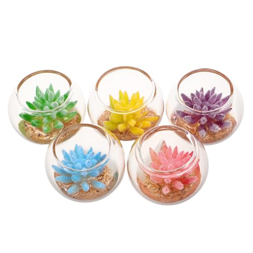 Kisangel 5 Stück Miniatur-Puppenhauspflanze: Mini-künstliche Sukkulenten-Töpfe – Feengarten-Zubehör – Bunte Topfpflanzen-Dekoration – Mini-Bonsai-Modell von Kisangel