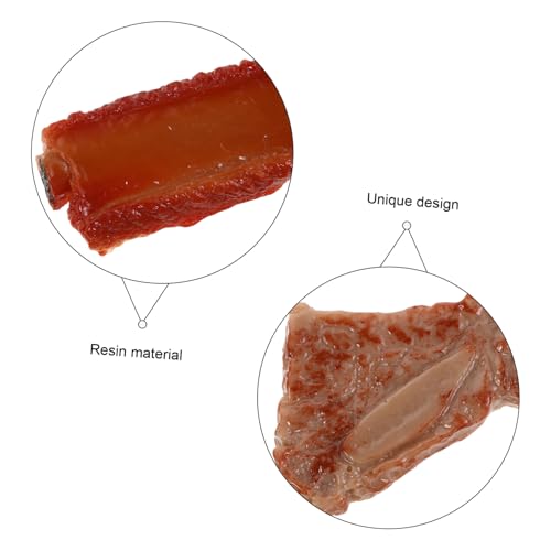 Kisangel 5 Stück Teiliges Realistische Schweinerippchen Deko Modell Detailgetreue Simulation als Lustiges und Küchenaccessoire Naturgetreues Fleischimitat für Wohnzimmer und Fotorequisiten Kisangel 5 Stück Teiliges Realistische Schweinerippchen Deko Modell Detailgetreue Simulation als Lustiges und Küchenaccessoire Naturgetreues Fleischimitat für Wohnzimmer und Fotorequisiten von Kisangel