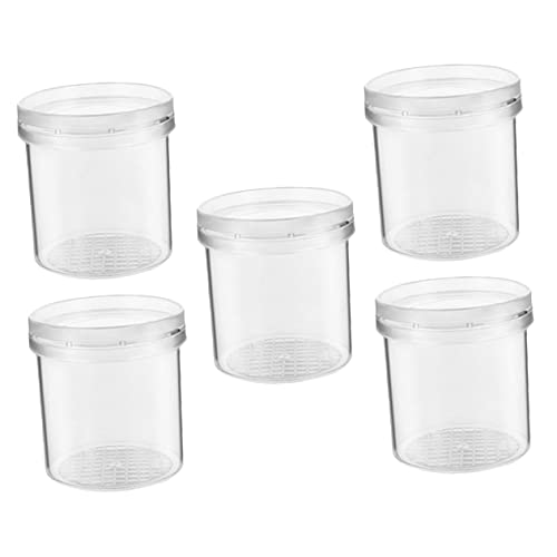 Kisangel 5 Stück Transparente Insektenkäfige für Vergrößerungsboxen für Outdoor Zubehör zur Naturbeobachtung und Entdeckung von Insekten Kisangel 5 Stück Transparente Insektenkäfige für Vergrößerungsboxen für Outdoor Zubehör zur Naturbeobachtung und Entdeckung von Insekten von Kisangel