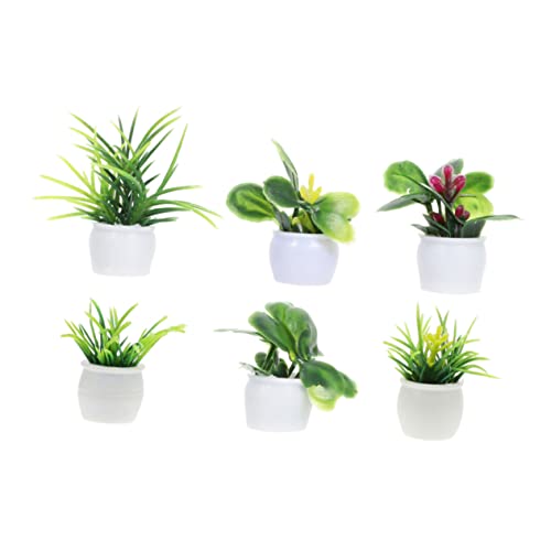 Kisangel 6 Stück Mini Pflanzenmodell Teilig Lebensechte Bonsai Figuren aus Kunststoff für Puppenhaus Deko und Zen Garten Gestaltung Kreative Wohnräume und Gartendekoration Kisangel 6 Stück Mini Pflanzenmodell Teilig Lebensechte Bonsai Figuren aus Kunststoff für Puppenhaus Deko und Zen Garten Gestaltung Kreative Wohnräume und Gartendekoration von Kisangel