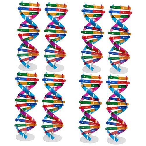 Kisangel 8 Stck Teiliges DNA Doppelhelix Modell Bausatz Wissenschaftliches Lernspielzeug für Biologie Unterricht Klassenzimmer Lehrmittel DIY Molekulare Struktur Assembly von Kisangel