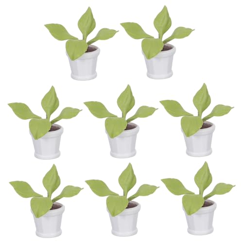 Kisangel 8 Stück Simulation Kleiner Topfpflanzen Dekoratives Miniaturgras Winzige Blumen Bonsai Modell Blumengras Winzige Topfpflanzen Miniatur Gartenzubehör Puppenhauspflanzen von Kisangel