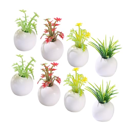 Kisangel 8 Stück Teiliges Mini Bonsai Realistische Puppenhaus Deko Lebendige Mini Topfpflanzen für Gartenlandschaft Zubehör für Mikro Szenerien und Feengarten Ornamente Kisangel 8 Stück Teiliges Mini Bonsai Realistische Puppenhaus Deko Lebendige Mini Topfpflanzen für Gartenlandschaft Zubehör für Mikro Szenerien und Feengarten Ornamente von Kisangel