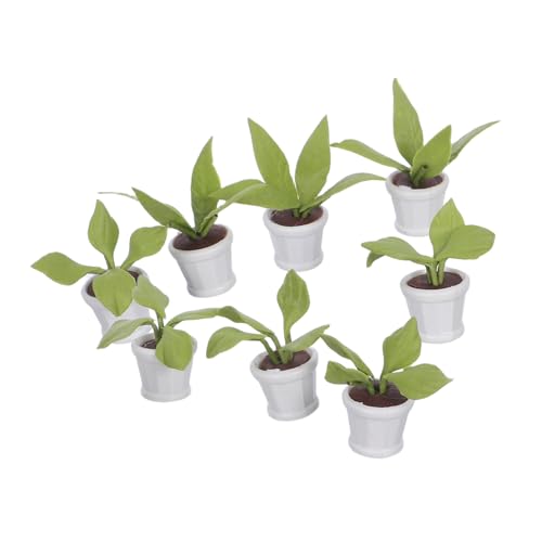 Kisangel 8 Stück Teiliges Miniatur-Dollhouse-Pflanzen- Handgefertigte Simulation aus Farbenfrohe Mini-Bonsai Vielseitige Dekoration für Puppenhäuser und Kleine Szenen Kisangel 8 Stück Teiliges Miniatur-Dollhouse-Pflanzen- Handgefertigte Simulation aus Farbenfrohe Mini-Bonsai Vielseitige Dekoration für Puppenhäuser und Kleine Szenen von Kisangel