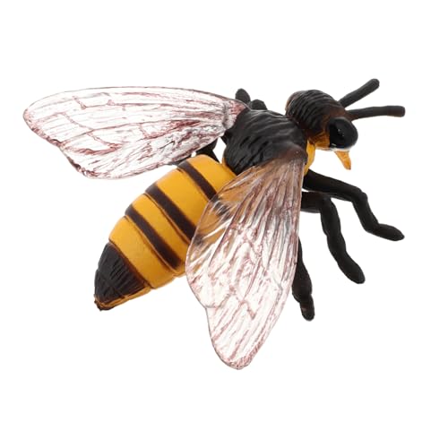 Kisangel Bienentiermodell Simulationsinsektenhandwerk Honigbienenfigur Figuren Bienen Bienenmodell für kinderspielzeug Bienenverzierung Lebenszykluszahlen Plastik Kisangel Bienentiermodell Simulationsinsektenhandwerk Honigbienenfigur Figuren Bienen Bienenmodell für kinderspielzeug Bienenverzierung Lebenszykluszahlen Plastik von Kisangel