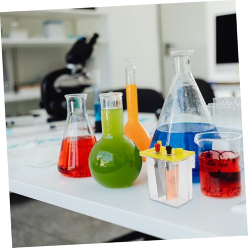 Kisangel DIY Obstbatterie Experimentierkit Salzwasserbatterie mit Metallplatten für Physikunterricht Energieerzeugung Schüler Labor Alternative Energie Experimente Kisangel DIY Obstbatterie Experimentierkit Salzwasserbatterie mit Metallplatten für Physikunterricht Energieerzeugung Schüler Labor Alternative Energie Experimente von Kisangel