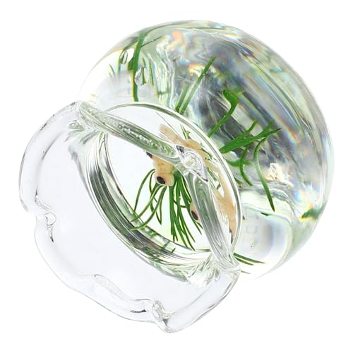 Kisangel Fischtank Mit Modell Dekorative Fischtankschale Für Puppenhaus Realistisches Mikroszenario Für Wohnaccessoires Und Dekoideen von Kisangel