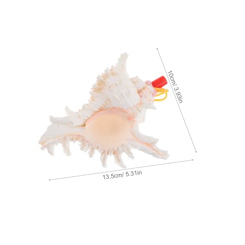 Kisangel Große Muschelpfeife Muschelhorn Dekorative Muschel Trompeten-schlüsselband Für Heimdekoration Partys Kisangel Große Muschelpfeife Muschelhorn Dekorative Muschel Trompeten-schlüsselband Für Heimdekoration Partys von Kisangel