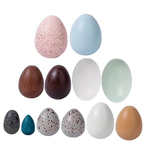 Kisangel Holzspielzeug Eier Realistische Simulation Buntes Teiliges Deko für Basteln Langlebig Geeignet für Osterdeko Montessori Lernspielzeug Kisangel Holzspielzeug Eier Realistische Simulation Buntes Teiliges Deko für Basteln Langlebig Geeignet für Osterdeko Montessori Lernspielzeug von Kisangel