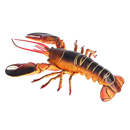 Kisangel Hummer-Modell Seegelle Hummerspielzeug Realistische Modelle Hummerfiguren Realistisches Fischspielzeug Gefälschter Hummer Tiere Lebensechte Hummerstatue Hummer Figur Plastik Kisangel Hummer-Modell Seegelle Hummerspielzeug Realistische Modelle Hummerfiguren Realistisches Fischspielzeug Gefälschter Hummer Tiere Lebensechte Hummerstatue Hummer Figur Plastik von Kisangel