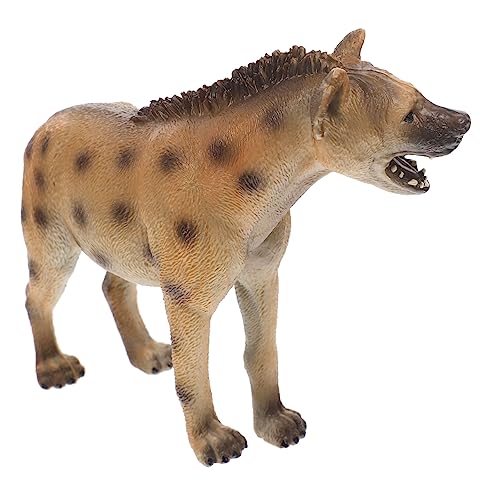 Kisangel Hyänen Modell Dekoratives Hyänen Ornament Aus Kunststoff Für Lernspielzeug Tierkognition Miniaturgärten Und Heimdekoration von Kisangel