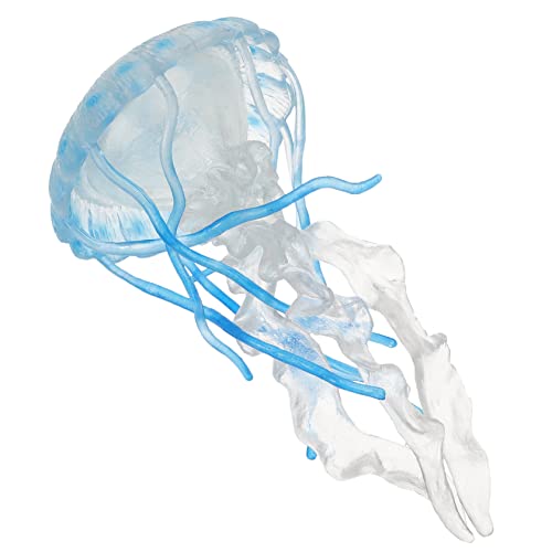 Kisangel Jellyfish Modell Simulierte Quallenfiguren für Pädagogisches Vorstellungskraft Geeignet für Aquarien Lernspielzeug für Vorschulkinder von Kisangel