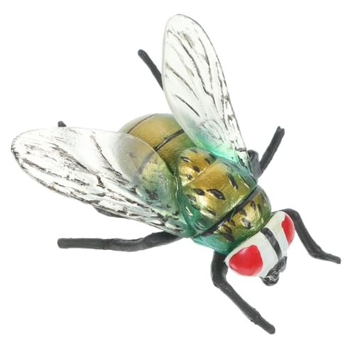 Kisangel Künstliche Hausfliege Insektenmodell Aus Sicherem Realistische Nachahmung Für Leuchtende Farben Lernspielzeug Zur Insektenerkennung von Kisangel