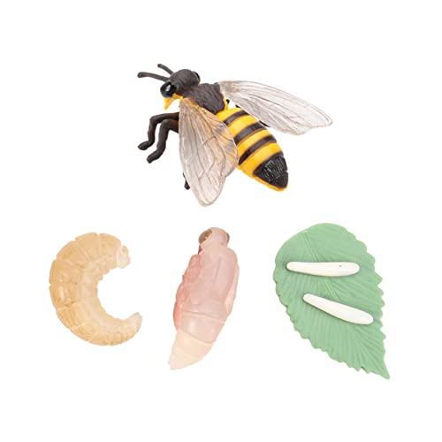Kisangel Lebensechte Bienen Evolutionsmodell aus Tierfiguren für Naturkunde Lernspielzeug Party Deko Kreative Vorschule Kisangel Lebensechte Bienen Evolutionsmodell aus Tierfiguren für Naturkunde Lernspielzeug Party Deko Kreative Vorschule von Kisangel