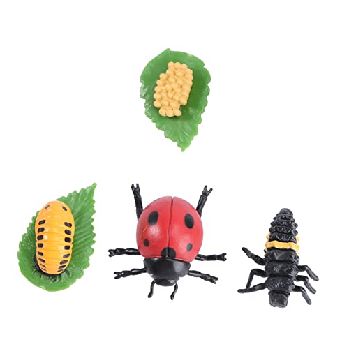 Kisangel Lebensechte Marienkäfer Modell Figur Simulation Insekten Wachstumszyklus Lernspielzeug für Junge Mädchen als Pädagogische Dekoration und Montessori Tierornament Kisangel Lebensechte Marienkäfer Modell Figur Simulation Insekten Wachstumszyklus Lernspielzeug für Junge Mädchen als Pädagogische Dekoration und Montessori Tierornament von Kisangel