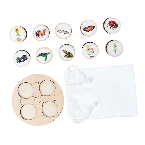 Kisangel Lebenszyklus Holzspielzeug Tierbiologisches Modell mit Ablagebrett Pädagogisches Lernspielzeug für Langlebig Tragbar für Schule und Zuhause Geschenk für Jungen und Mädchen von Kisangel