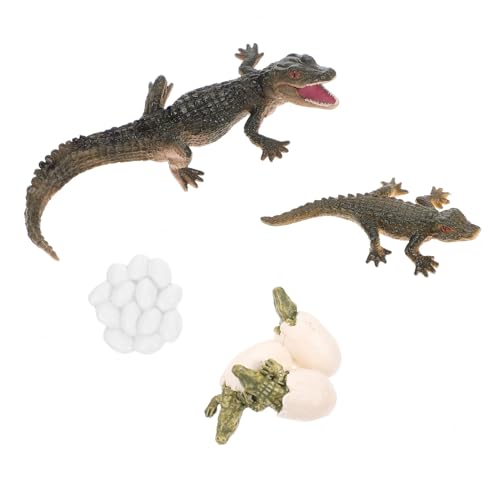 Kisangel Lebenszyklus Krokodil Figurenset Pädagogisches Tierwachstum Modellspielzeug Teiliges Alligator Entwicklungszyklus Kreatives Lernspielzeug für Vorschule und Schulprojekte Kisangel Lebenszyklus Krokodil Figurenset Pädagogisches Tierwachstum Modellspielzeug Teiliges Alligator Entwicklungszyklus Kreatives Lernspielzeug für Vorschule und Schulprojekte von Kisangel