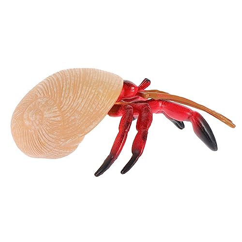 Kisangel Lernspielzeug Kreatives Modell Für Lebhaftes Hermit Crab Als Deko Sandkasten Und Strandspielzeug Jahren Kisangel Lernspielzeug Kreatives Modell Für Lebhaftes Hermit Crab Als Deko Sandkasten Und Strandspielzeug Jahren von Kisangel