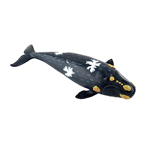 Kisangel Meerestier Modell Für Meerestier Kinderspielzeug Glattwal Figur Schwarz Kisangel Meerestier Modell Für Meerestier Kinderspielzeug Glattwal Figur Schwarz von Kisangel