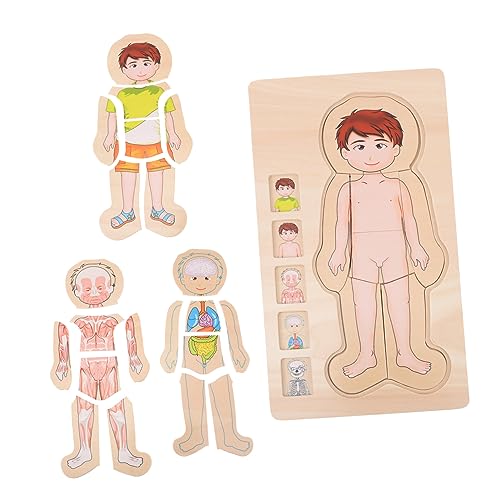 Kisangel Mehrschichtiges Holzpuzzle Lernspielzeug Körperstruktur für Fördert Kreativität und Vorstellungskraft Glatte Verarbeitung Tragbar für Jungen und Mädchen Kisangel Mehrschichtiges Holzpuzzle Lernspielzeug Körperstruktur für Fördert Kreativität und Vorstellungskraft Glatte Verarbeitung Tragbar für Jungen und Mädchen von Kisangel