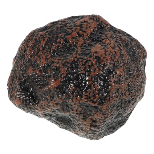 Kisangel Modell Mit Schwarzem Trüffel Kindersimulationsspiel Simulationsfutterspielzeug Kleinkindspielzeug Kinderspielzeug Kinderzubehör Lebenszyklus -lernspielzeug Plastik Black Kisangel Modell Mit Schwarzem Trüffel Kindersimulationsspiel Simulationsfutterspielzeug Kleinkindspielzeug Kinderspielzeug Kinderzubehör Lebenszyklus -lernspielzeug Plastik Black von Kisangel