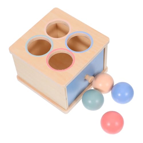 Kisangel Montessori Lernspielzeug Holz Farb Formsortierer für Vorschule Motorische und Kognitive Entwicklung Sicher und Interaktiv für Kleinkinder Ab Monate von Kisangel