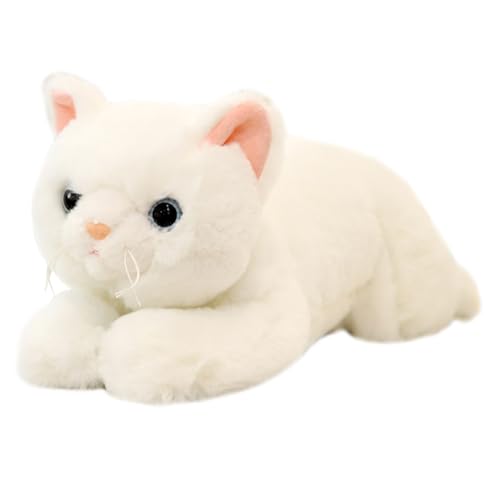 Kisangel Niedliche Katzenplüschfigur Aus Weichem Material Kinderaccessoire Dekoration Von Zimmern Bietet Komfort Und Freude Für Junge Mädchen von Kisangel