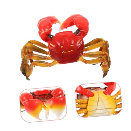 Kisangel Pädagogisches Krabbenmodell Lernspielzeug Simulation Haarige Krabbe Tierfigur Kreatives Kinderspielzeug Fördert Fantasie und Logisches Denken Geschenkidee für Kleinkinder Kisangel Pädagogisches Krabbenmodell Lernspielzeug Simulation Haarige Krabbe Tierfigur Kreatives Kinderspielzeug Fördert Fantasie und Logisches Denken Geschenkidee für Kleinkinder von Kisangel