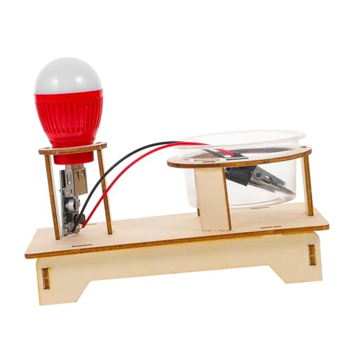 Kisangel Physik Experimentierkasten DIY Salzlösung Leitfähige Lampe Elektrizitätsschulung Schülerpraktikum Kreatives Lernspielzeug Praktische Fähigkeiten von Kisangel