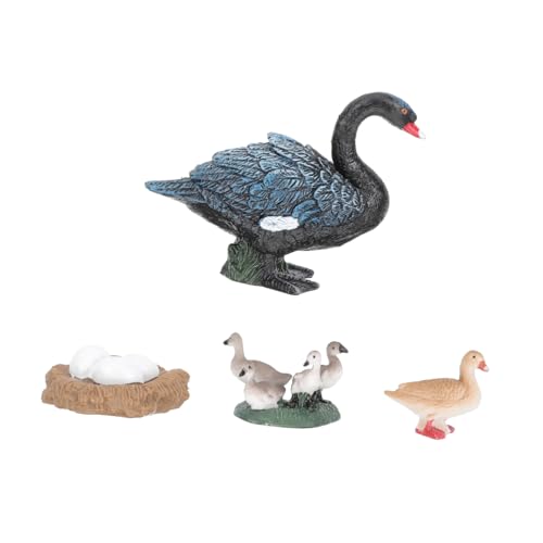 Kisangel Plastik Figuren mit Realistischem Wachstumszyklus Pädagogisches Tiermodell für Fördert Kognitive Entwicklung und Naturverständnis Teiliges Lernspielzeug für Mädchen und Jungen Kisangel Plastik Figuren mit Realistischem Wachstumszyklus Pädagogisches Tiermodell für Fördert Kognitive Entwicklung und Naturverständnis Teiliges Lernspielzeug für Mädchen und Jungen von Kisangel