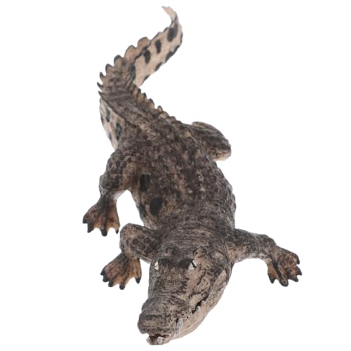 Kisangel Realistische Alligator Figur mit Beweglichem Detailgetreues Reptilien Modellspielzeug für Pädagogisch Vielseitig Einsetzbar für Rollenspiele und Sammeln Kisangel Realistische Alligator Figur mit Beweglichem Detailgetreues Reptilien Modellspielzeug für Pädagogisch Vielseitig Einsetzbar für Rollenspiele und Sammeln von Kisangel